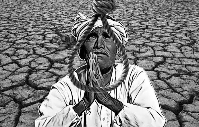 indian farmer suicide Drought, debt, and climate change are pushing Indian farmers to the edge