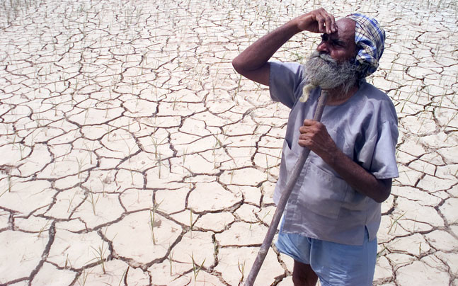 drought Indian farmer standing on cracked dry land symbolizing drought and farmer distress